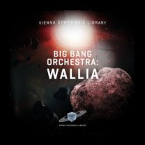 Big Bang Orchestra Wallia showroomaudio