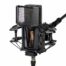Lewitt_PURE_TUBE_Studio_Set_showroomaudio